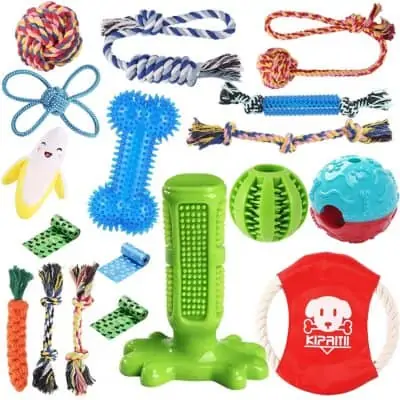 bundle of dog toys - gift for dogs