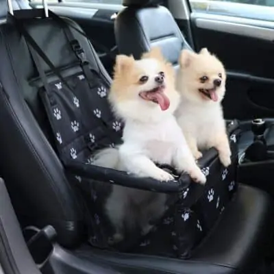 pet car booster seat