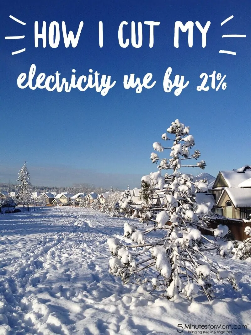 How I Cut My Electricity Use by 21 percent