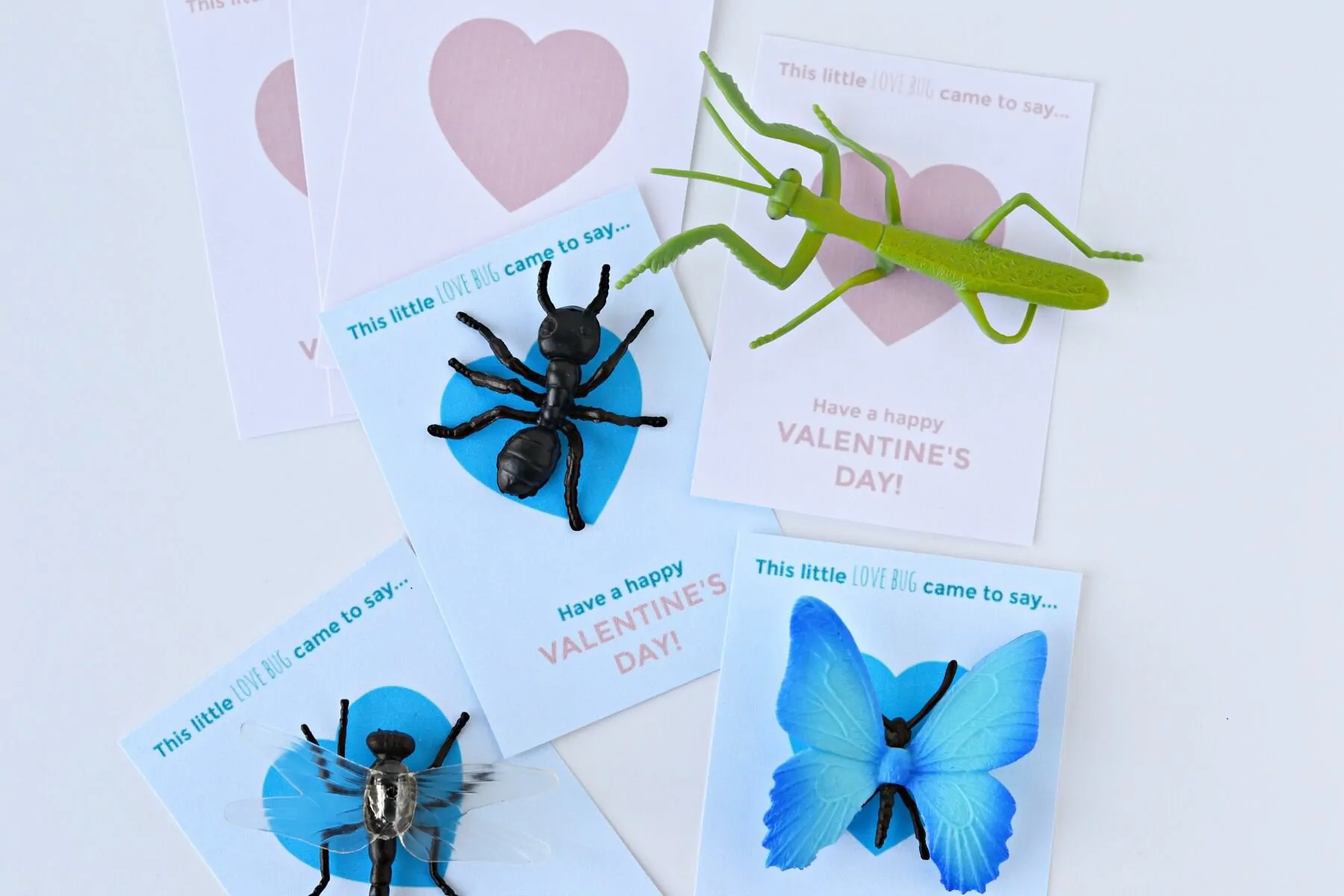 love bug valentines