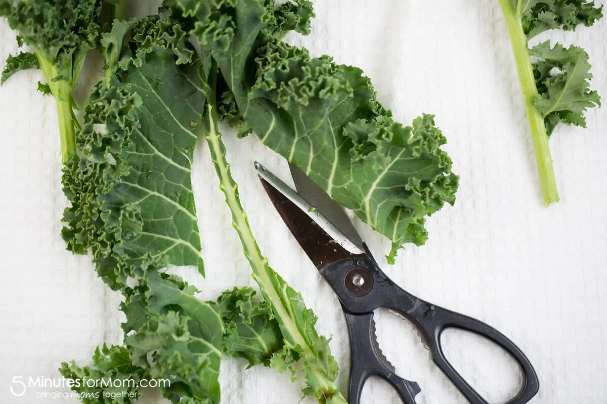 crispy kale chips