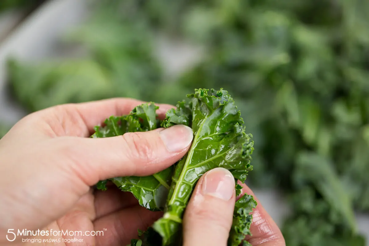 crispy kale chips