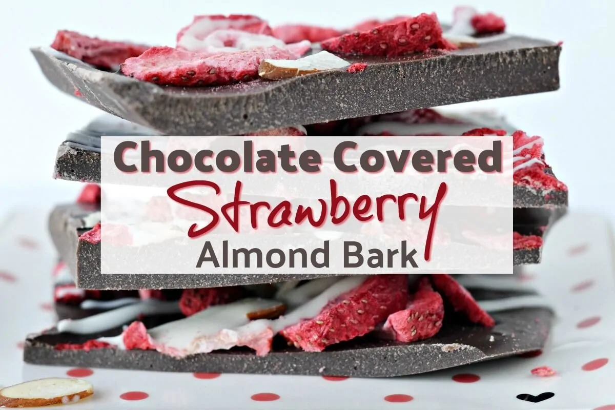 Easy chocolate covered strawberry bark recipe