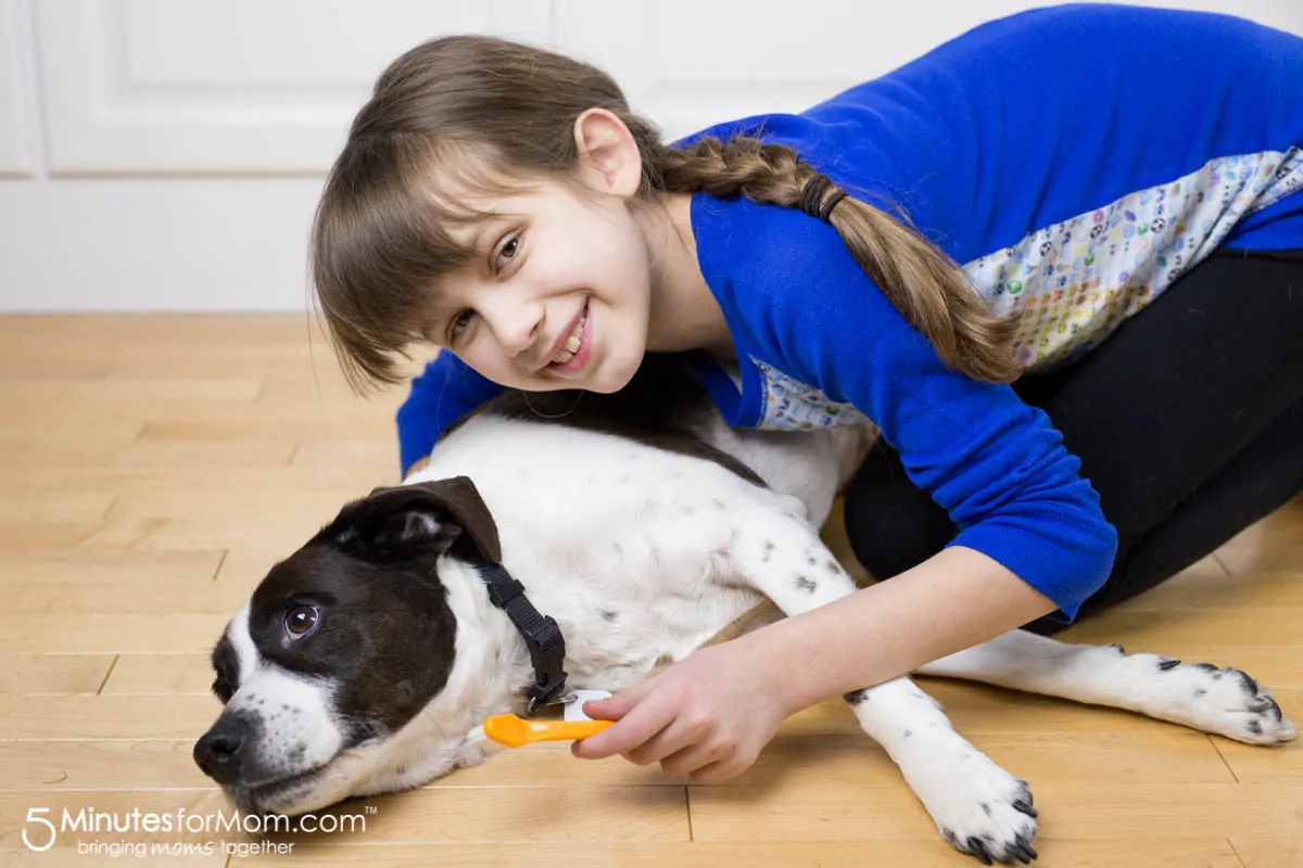 How to clean your dogs teeth