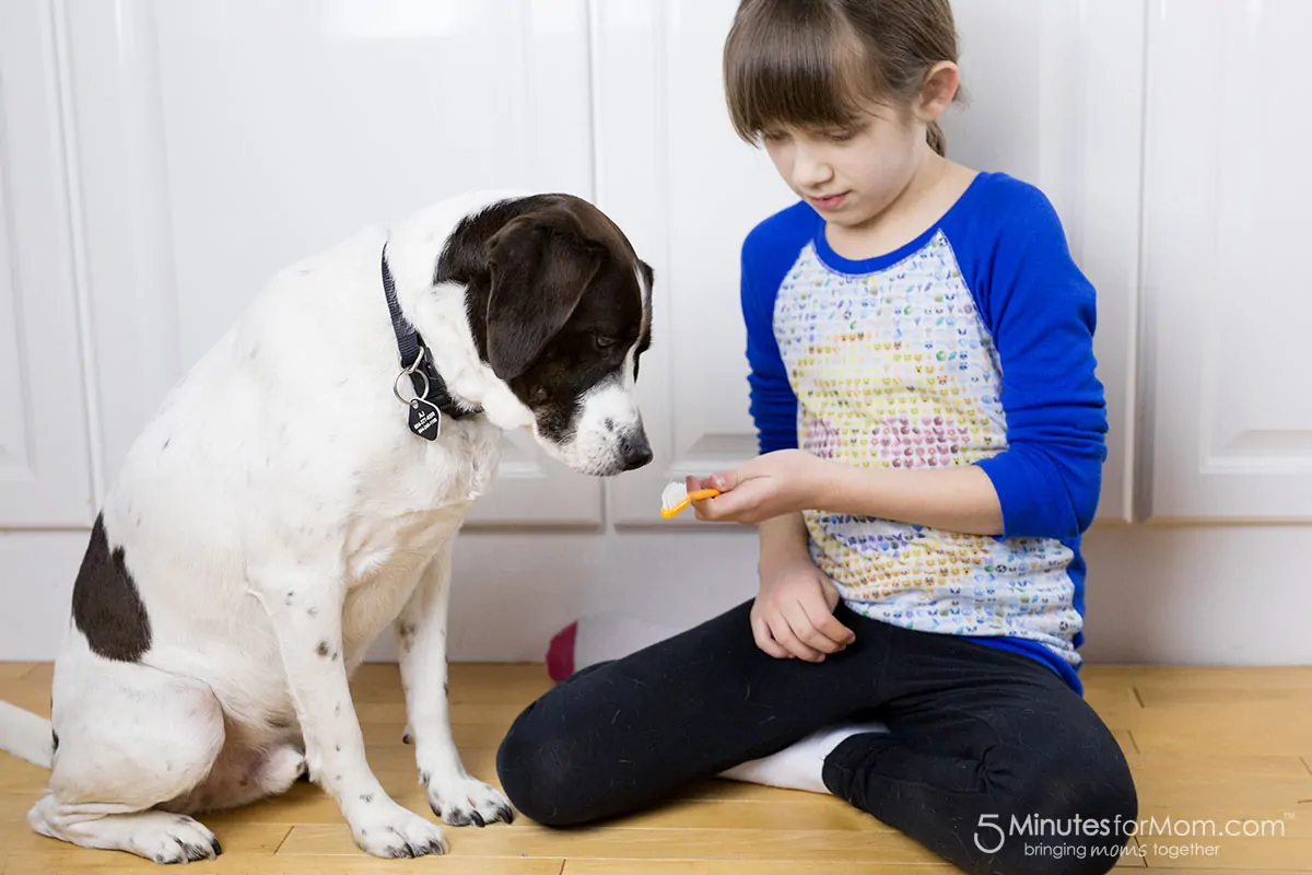 How to clean your dogs teeth