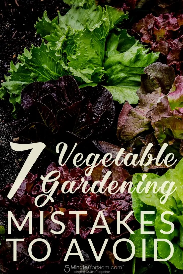 7 Vegetable Gardening Mistakes to Avoid