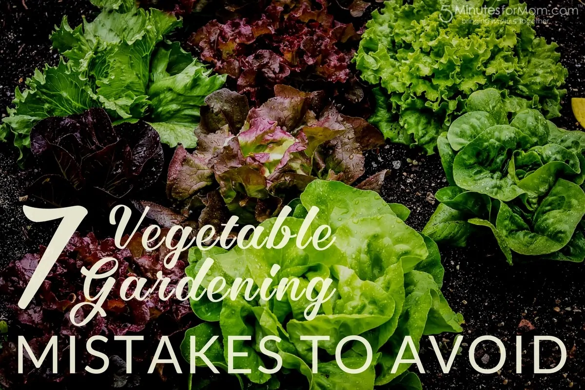 7 Vegetable Gardening Mistakes to Avoid