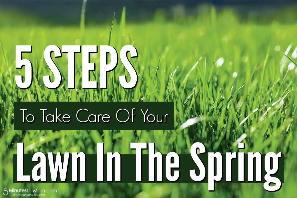 5 Steps To Take Care Of Your Lawn In The Spring