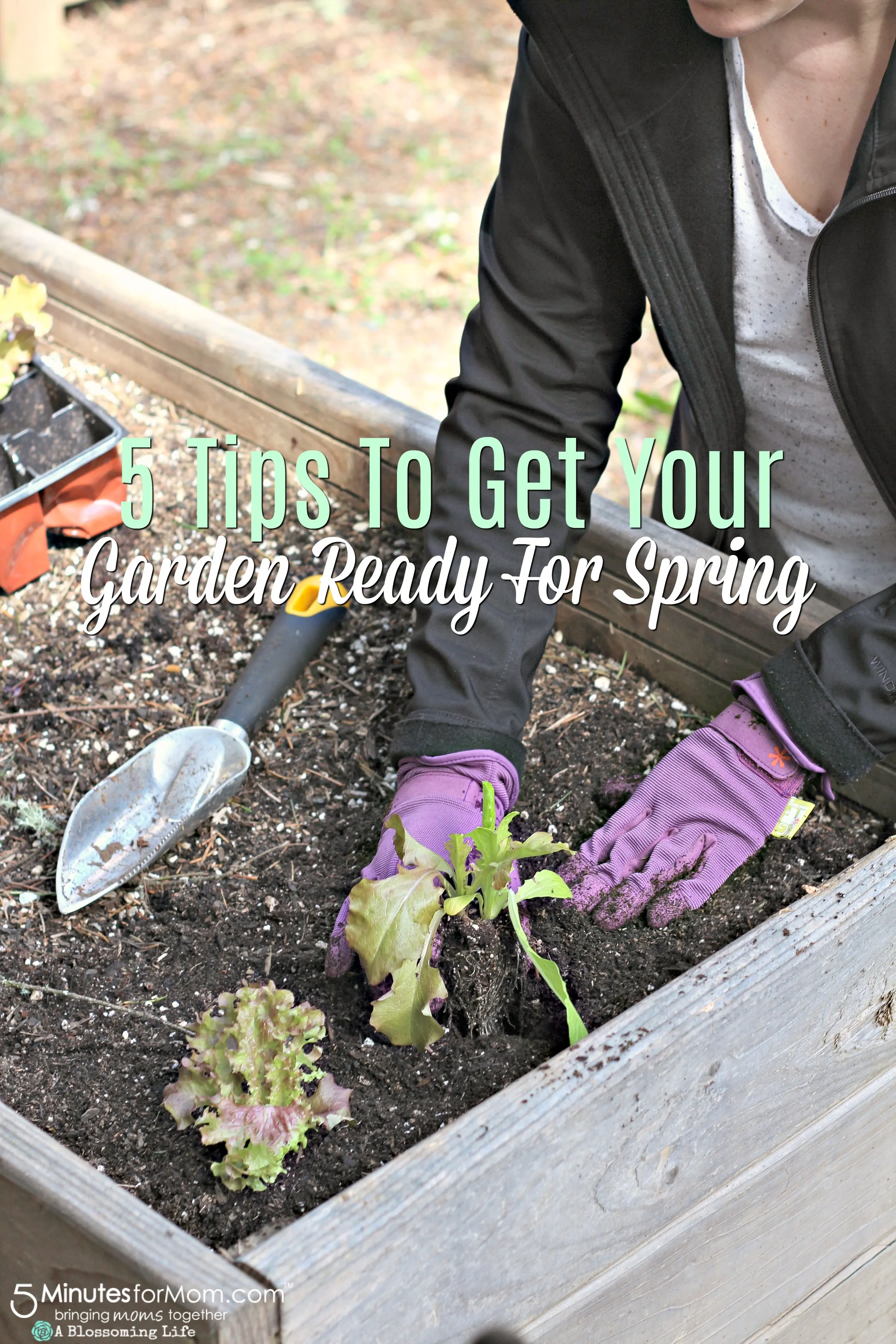 Spring Gardening Tips - 5 Ways To Get Your Garden Ready For Spring