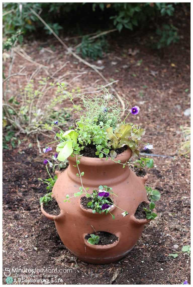 How To Make A Mini Garden