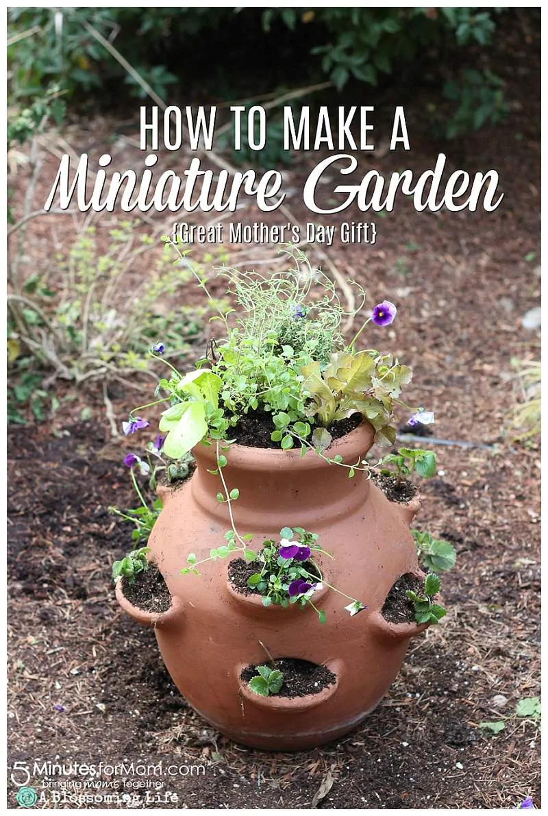 How To Make A Miniature Garden