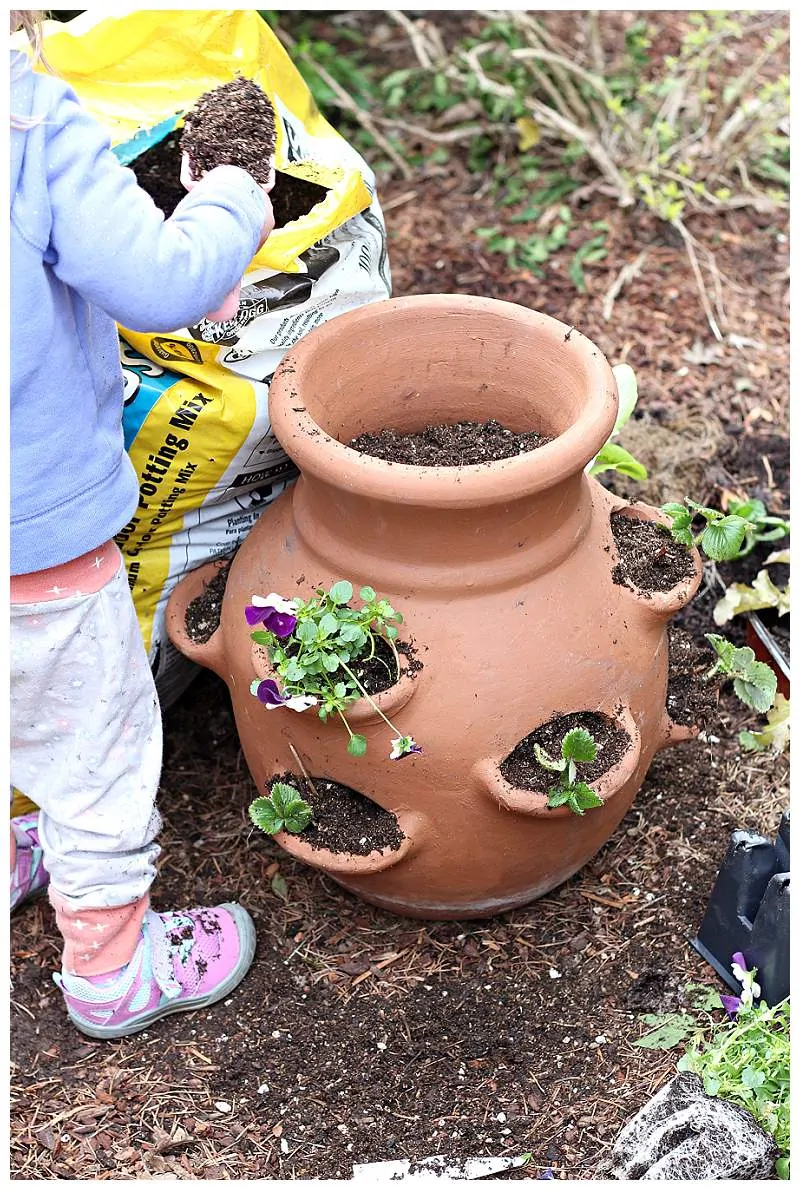 Planting miniature garden