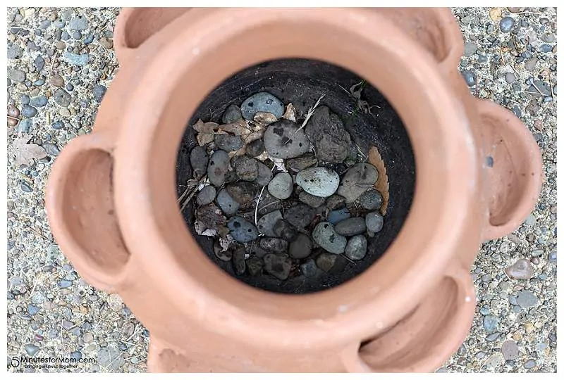 Strawberry pot with rocks