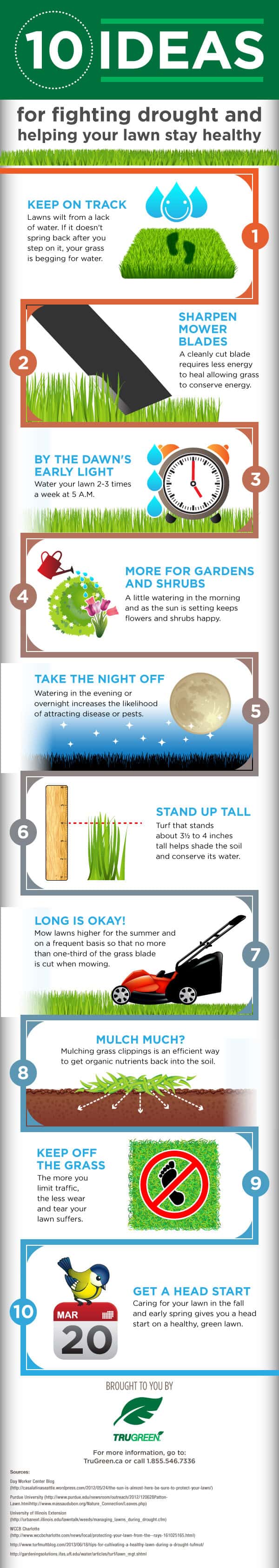 TRUGreen Infographic Watering Your Lawn