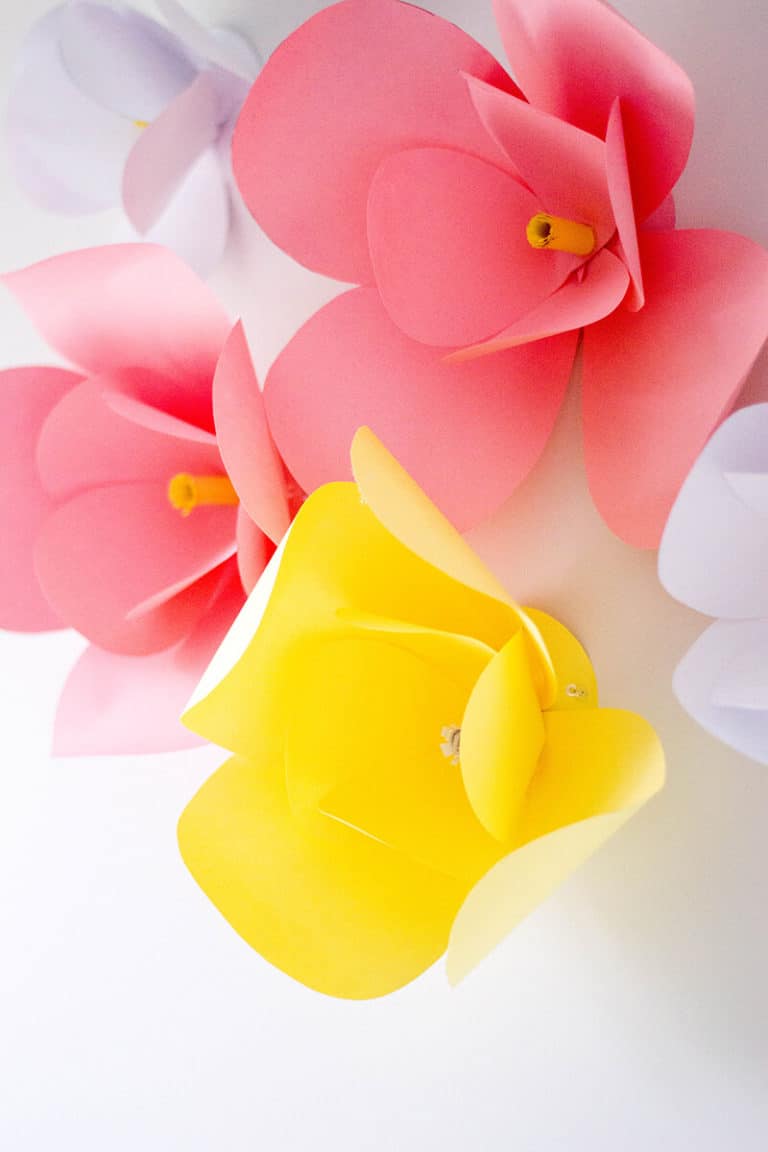 Adding a touch of color to our home office with these super easy, super cute DIY paper flowers.