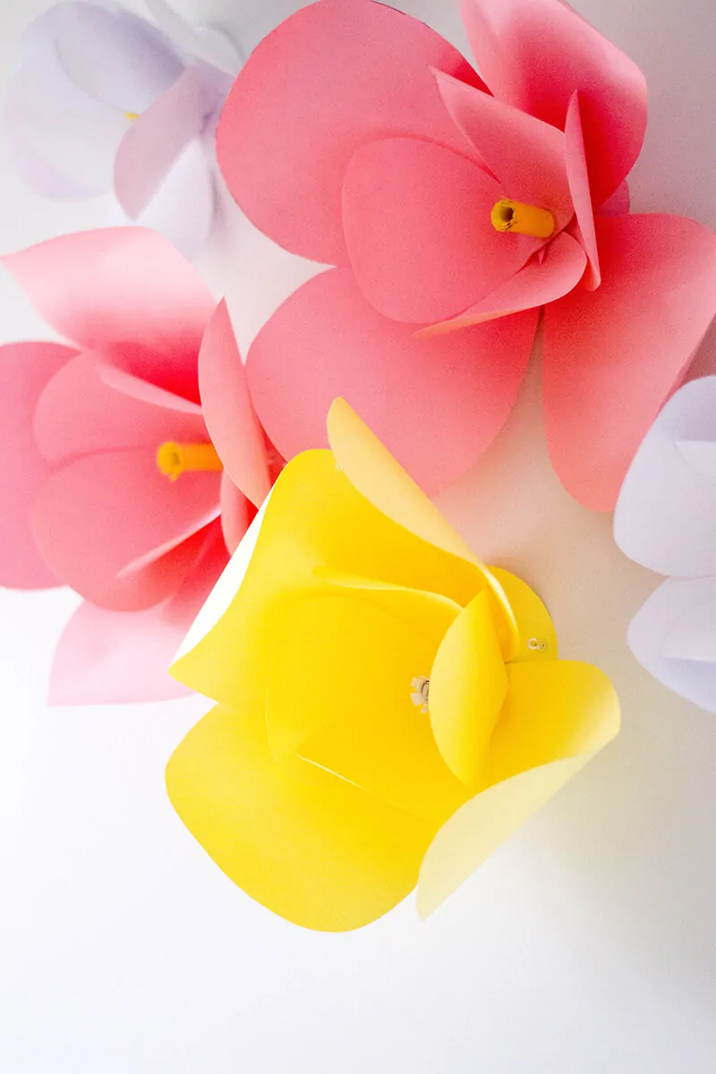 Hanging DIY paper flowers.