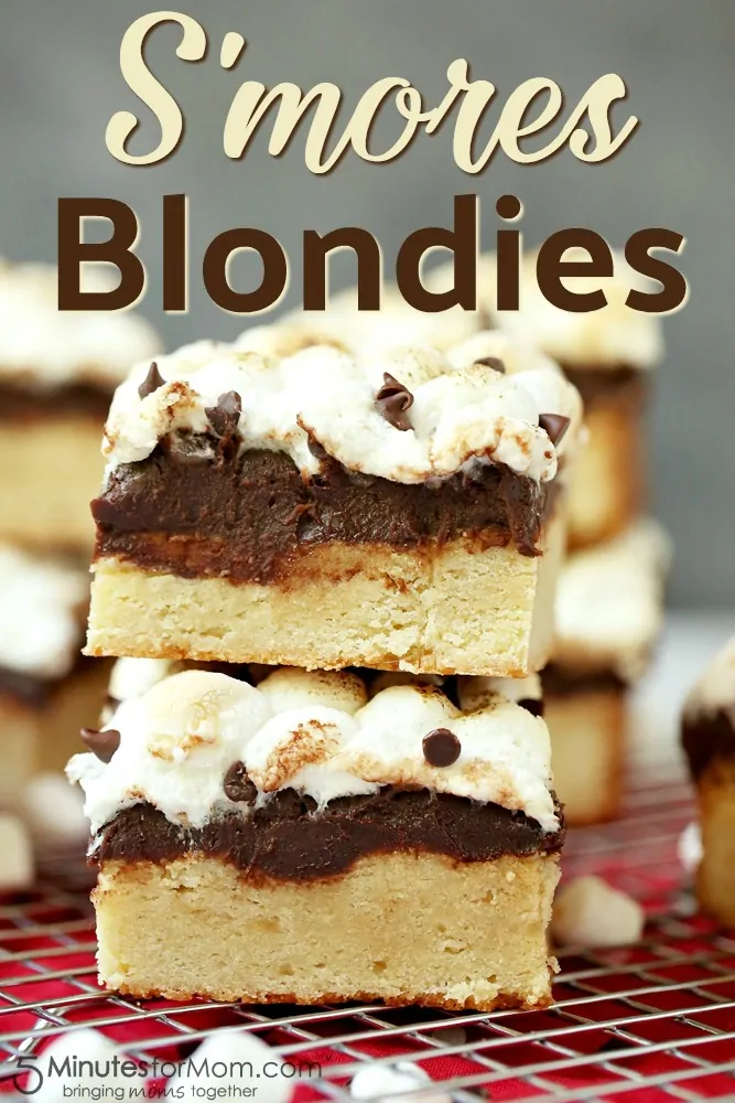 S'mores Blondies Dessert Recipe