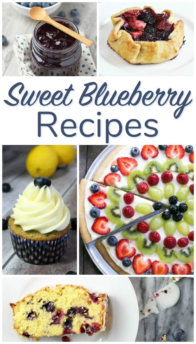 Sweet Blueberry Recipes - Delicious Blueberries