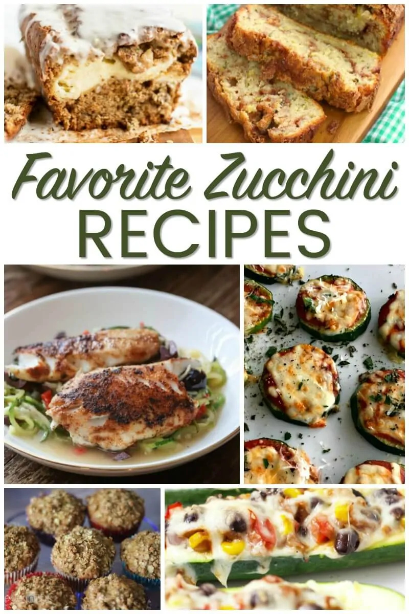 Favorite Zucchini Recipes