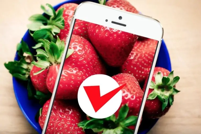 Health App HueTracker