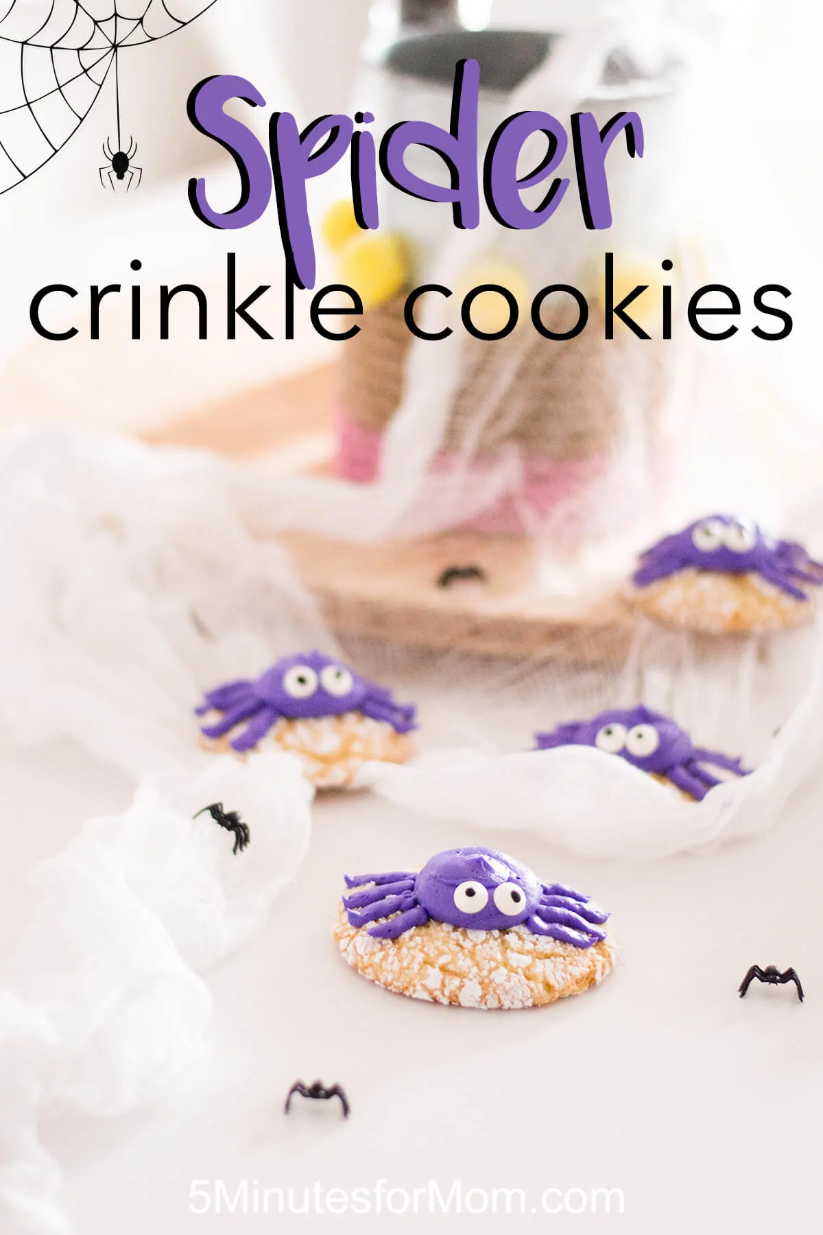 Spider Crinkle Cookies Recipe - Halloween Recipe