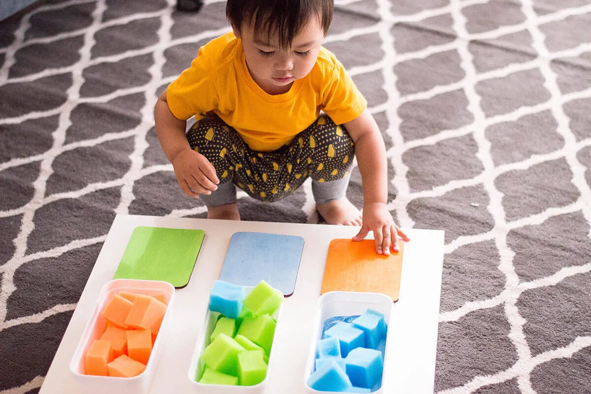 Toddler color recognition activity