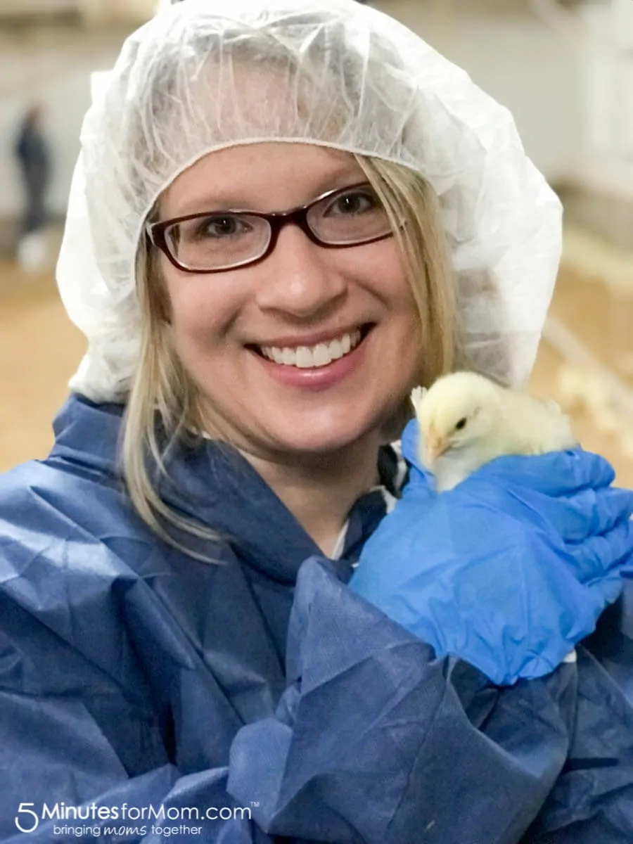 Visiting a Canadian family chicken farm.