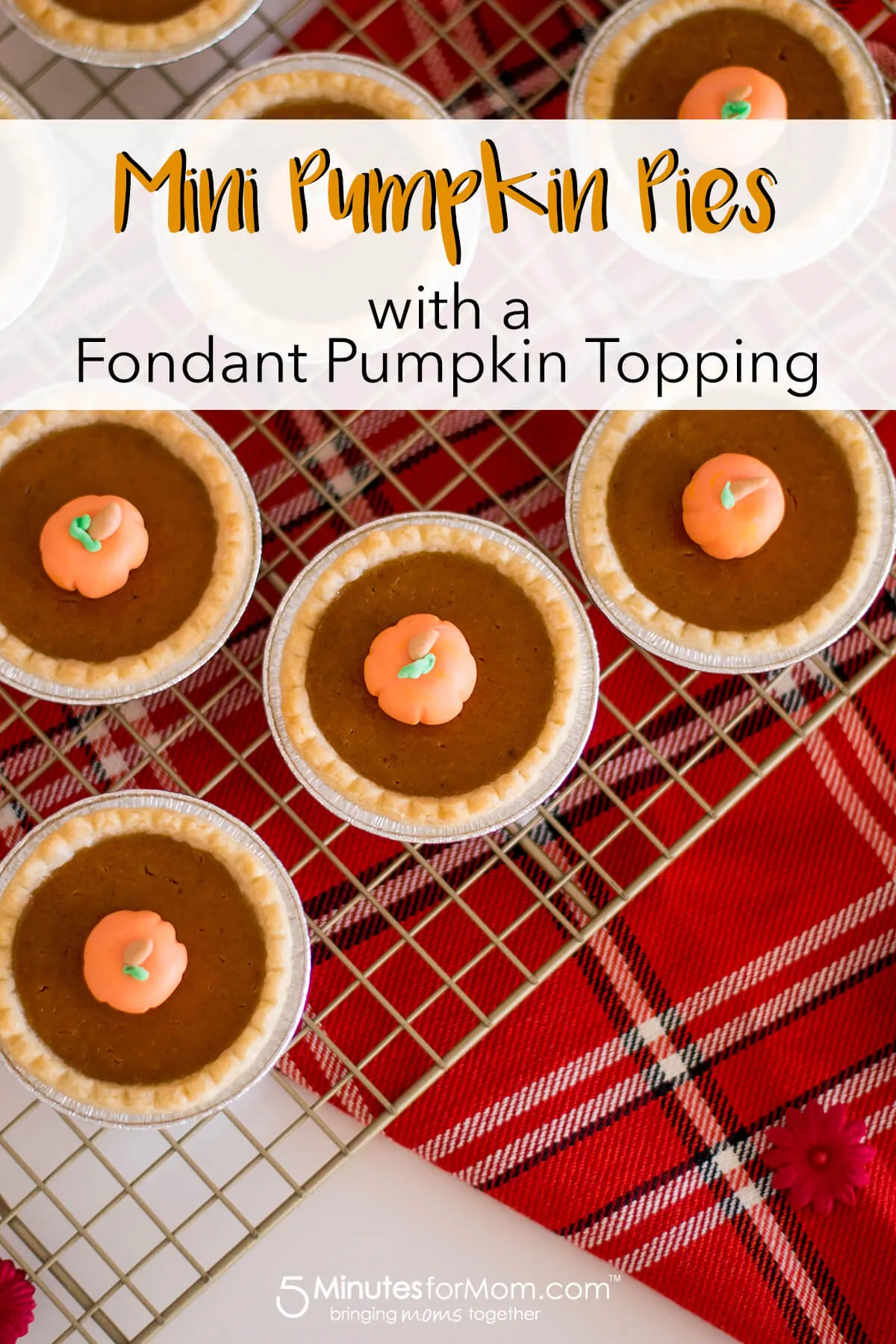 Mini Pumpkin Pies Recipe