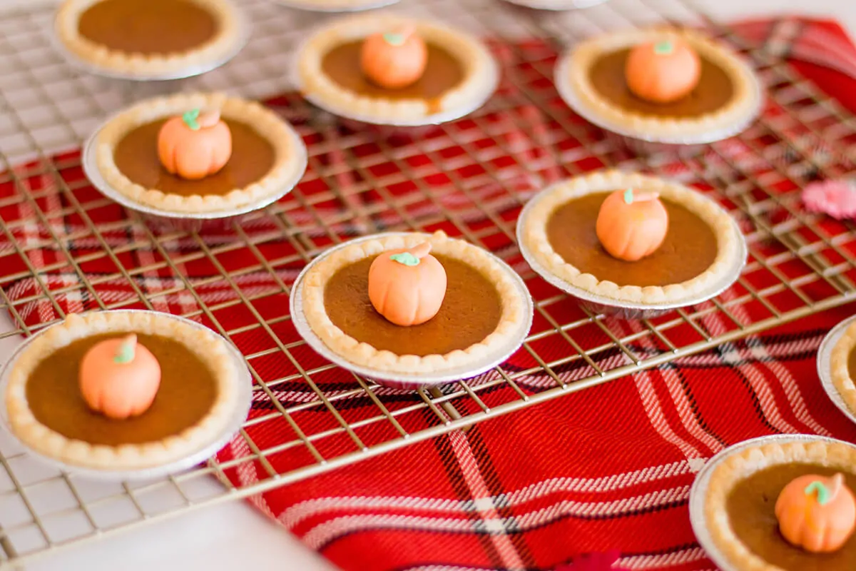 Giving my mini pumpkin pies the double-pumpkin makeover - how cute are these?!