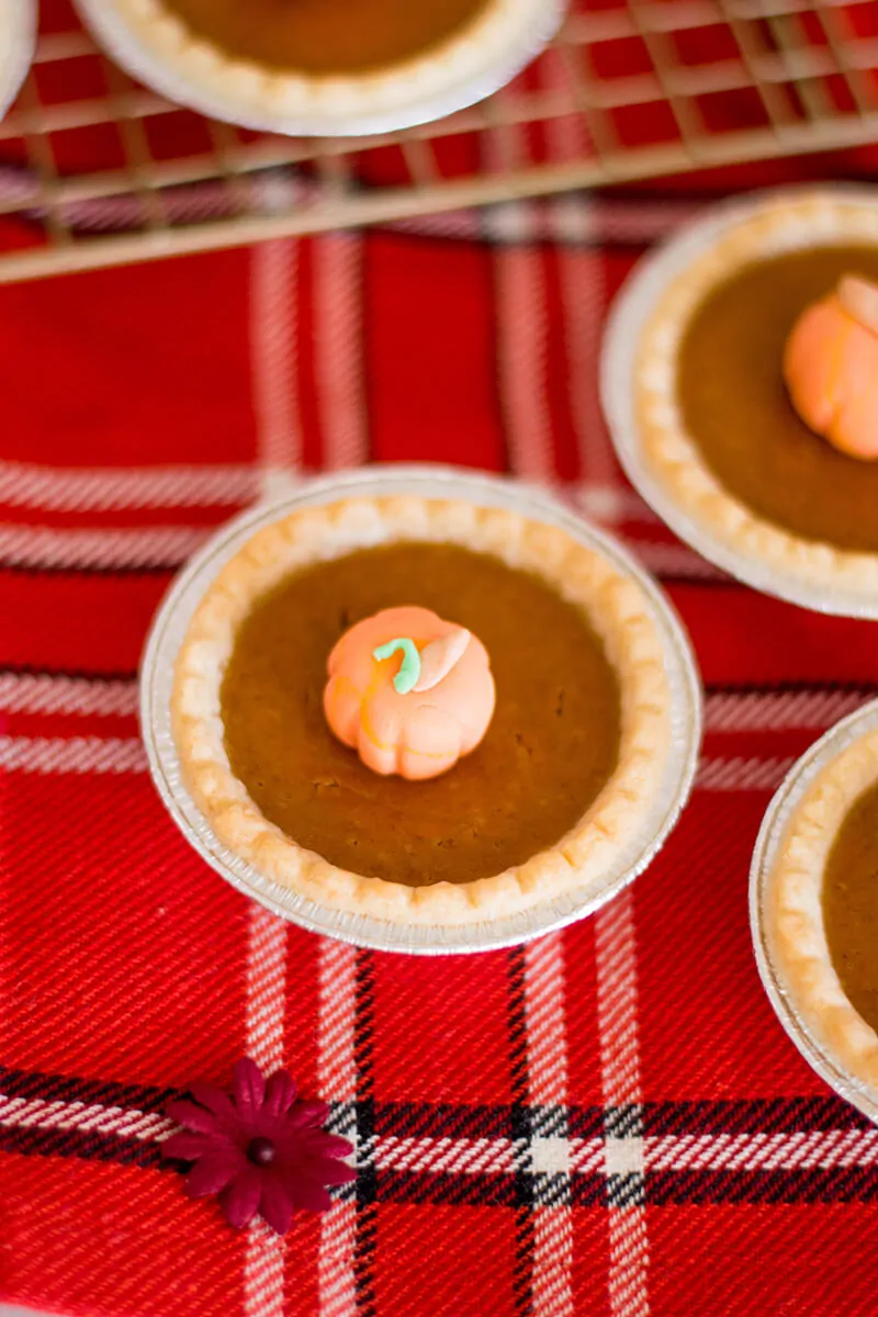 Giving my mini pumpkin pies the double-pumpkin makeover - how cute are these?!