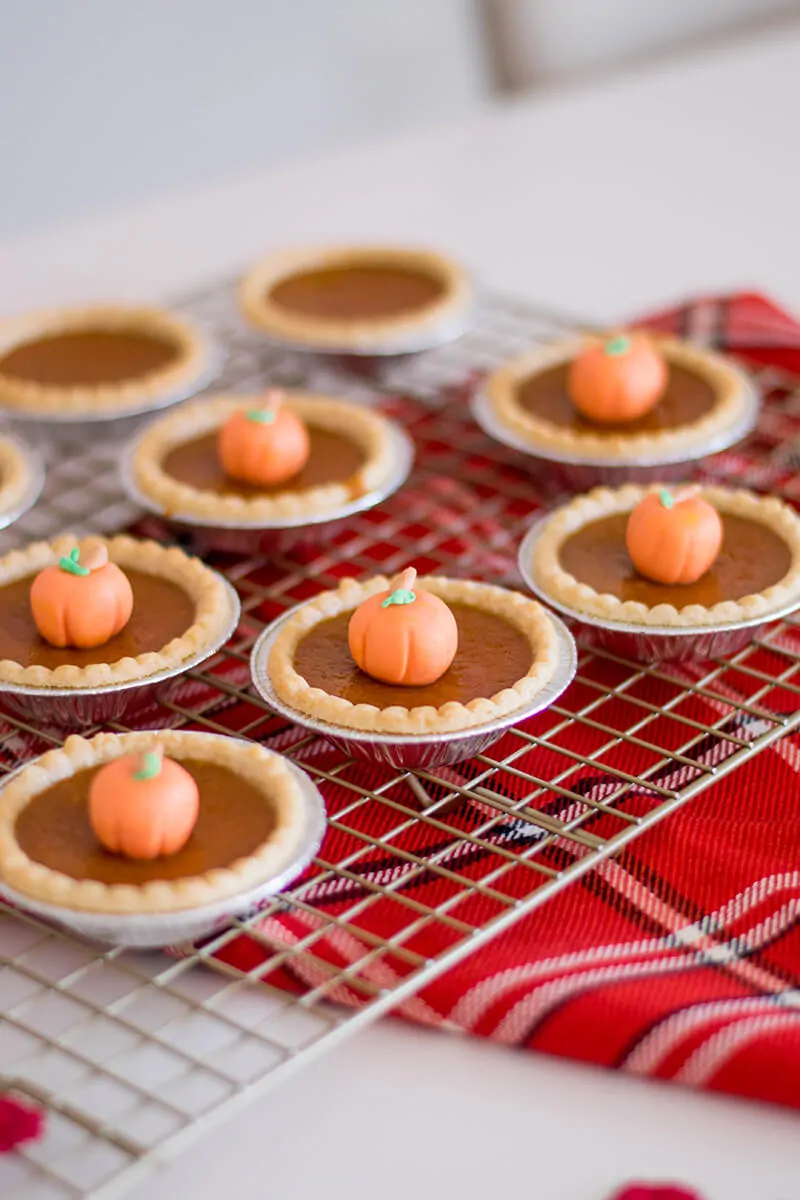 Giving my mini pumpkin pies the double-pumpkin makeover - how cute are these?!