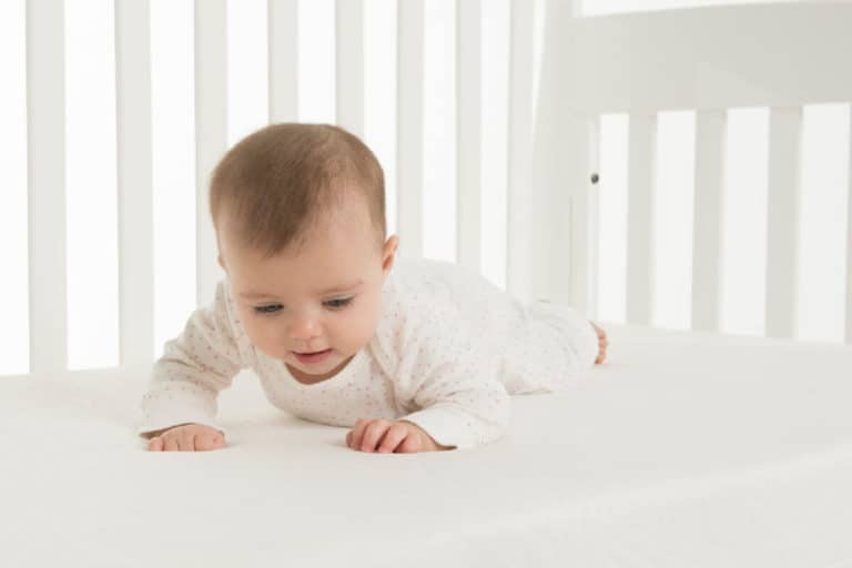 Organic Crib Mattress