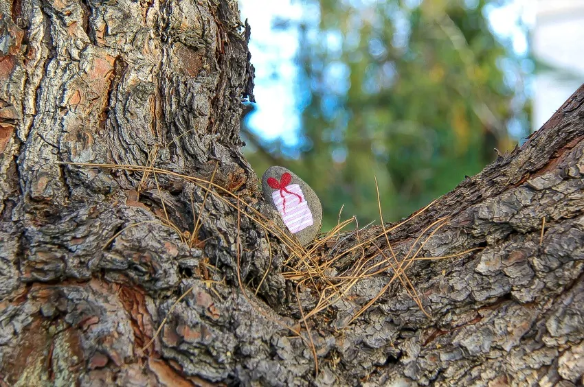 hiding painted rocks for friends to find