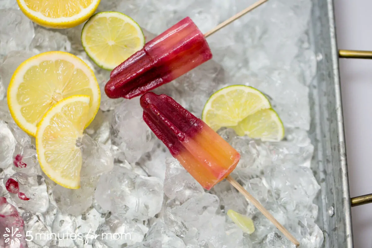 homemade fruit juice popsicles