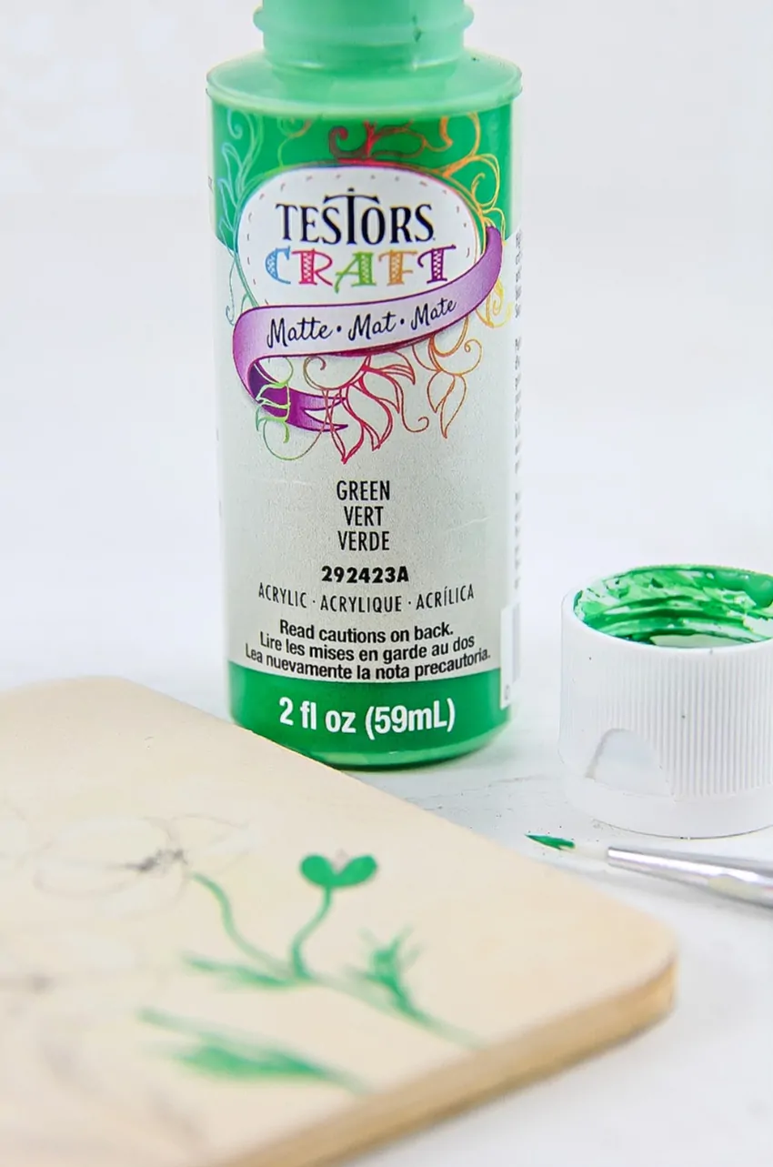 Testors Craft Acrylic Paints