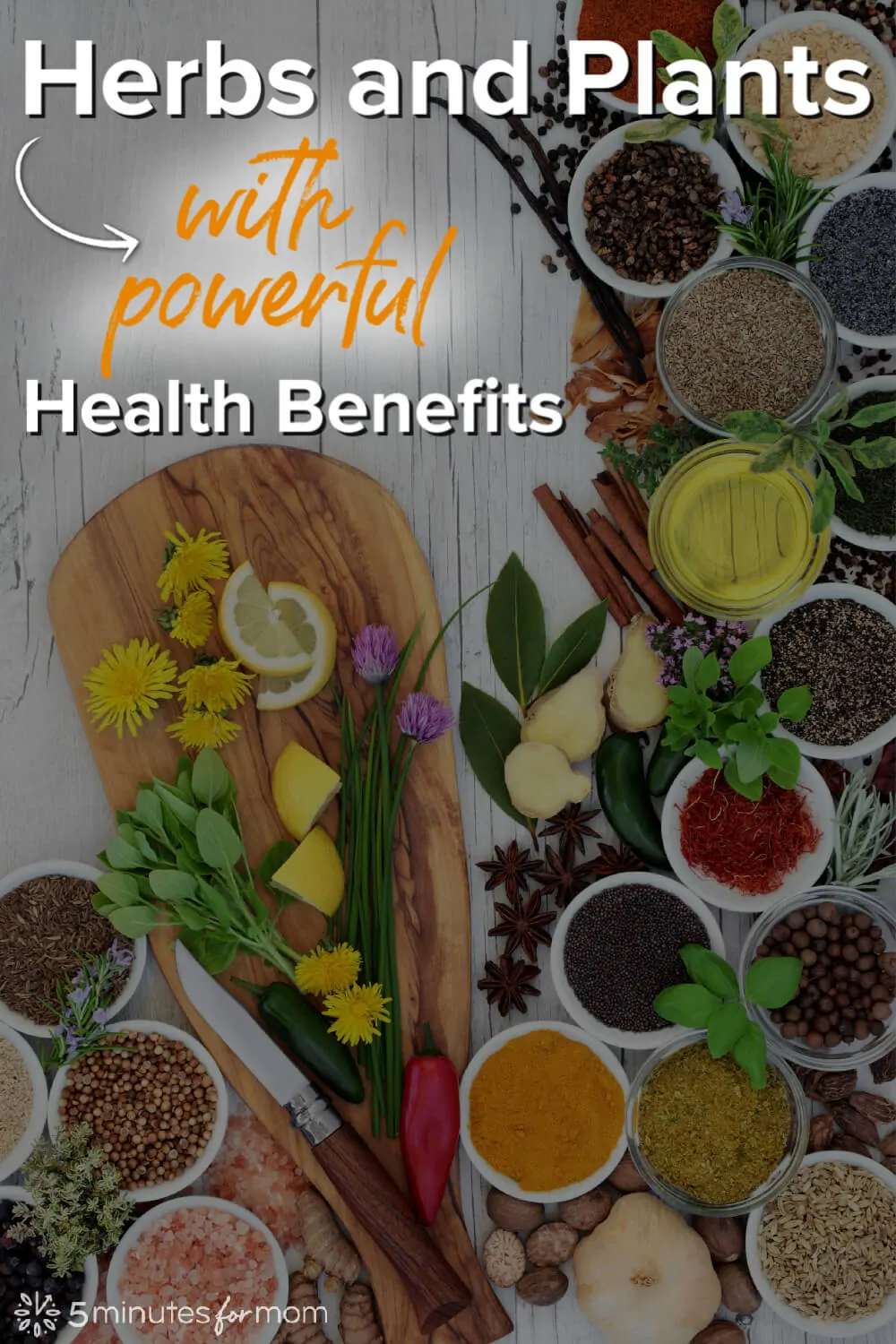 Medicinal Plants and Herbs with Powerful Health Benefits