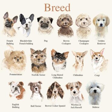 Customize Wall Art of Dog as Best Friend - 5 Minutes for Mom