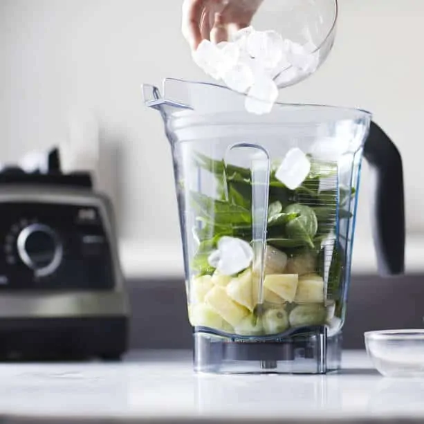 Vitamix Blender - Gift Idea