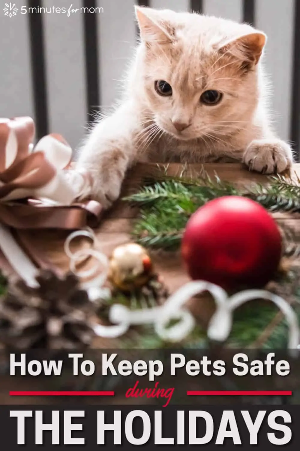 How to Keep Pets Safe at Christmas