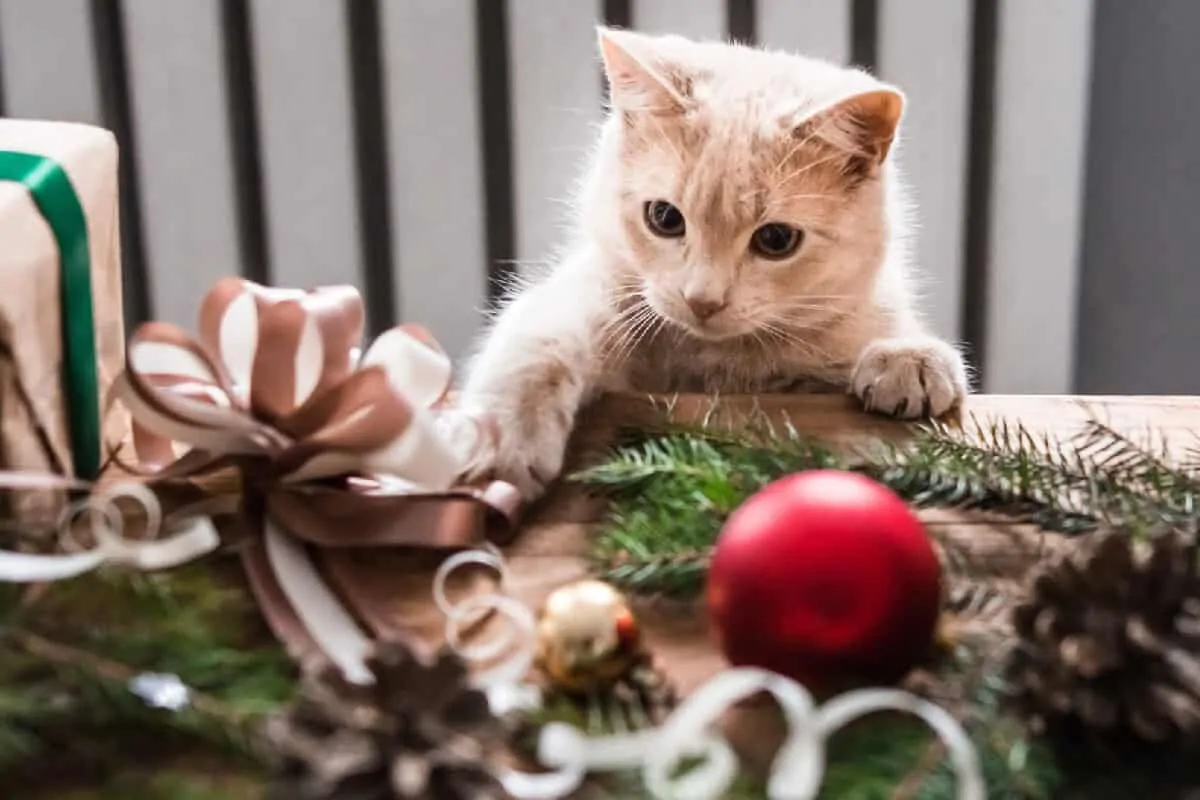 How to keep pets safe during the holidays