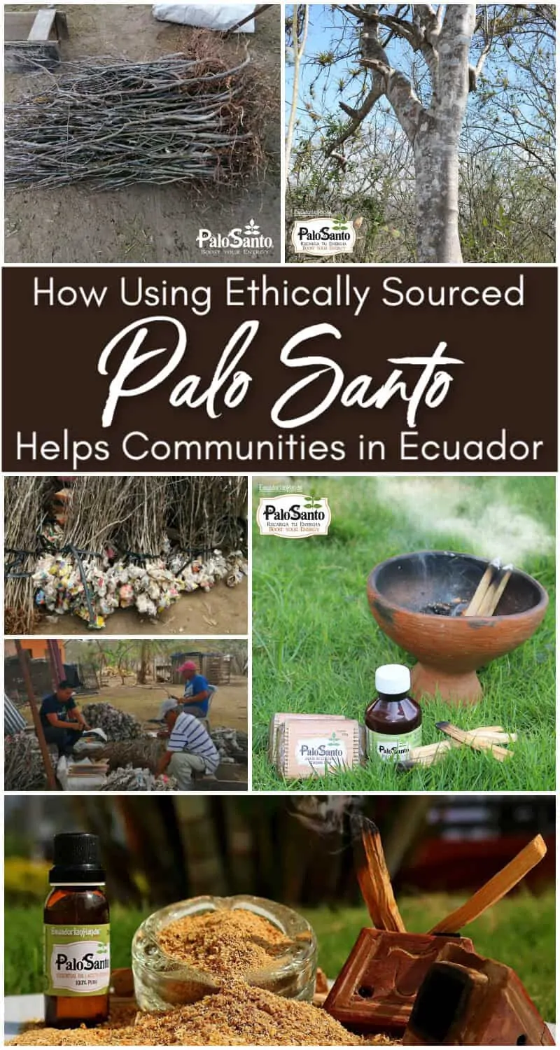 How Using Palo Santo Helps Communities in Ecuador