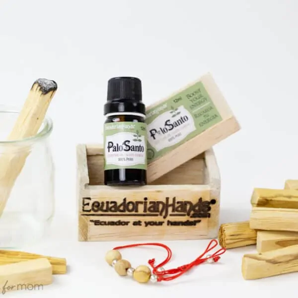 Palo Santo Benefits and How To Use This “Holy Wood” Responsibly