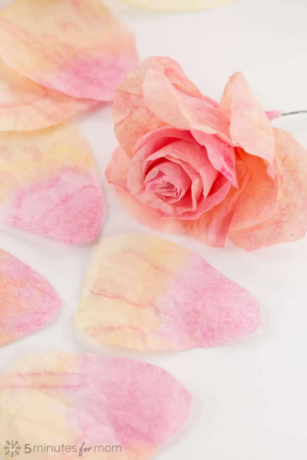 Making Coffee Filter Flowers