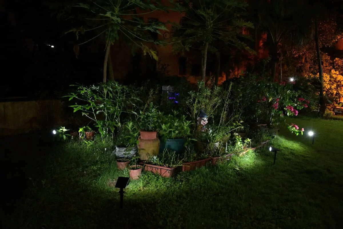 Outdoor Lights in the Garden