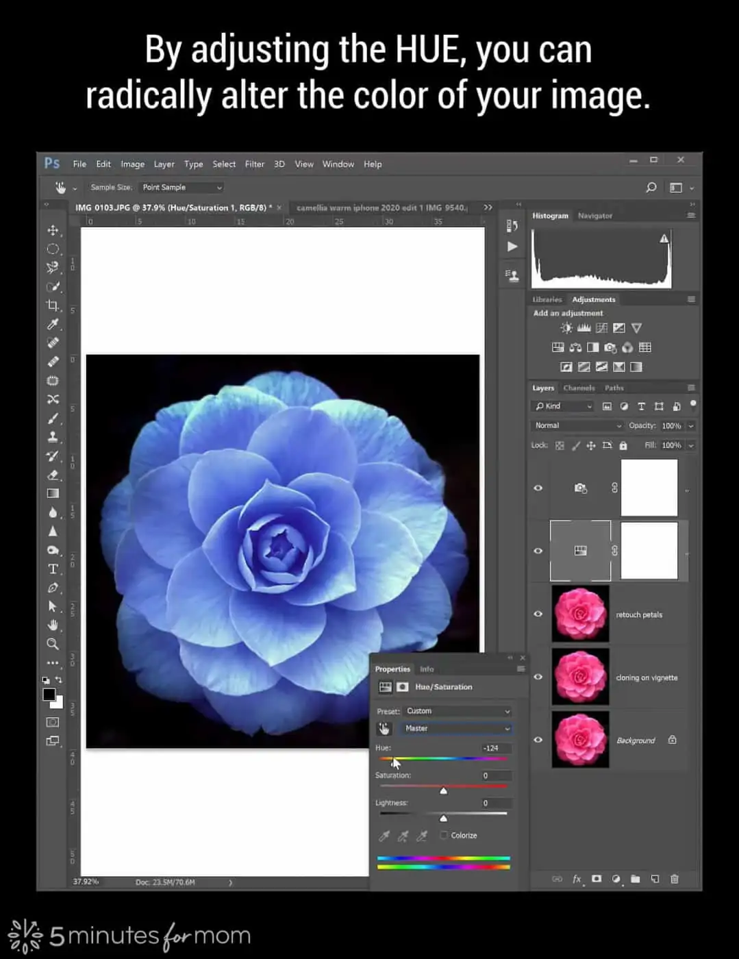 Adjusting Hue in Photoshop