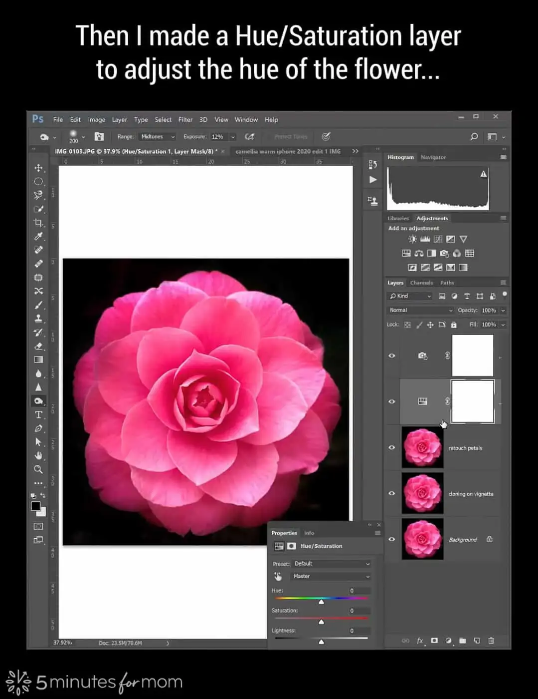 Hue Saturation adjustment layer in Photoshop