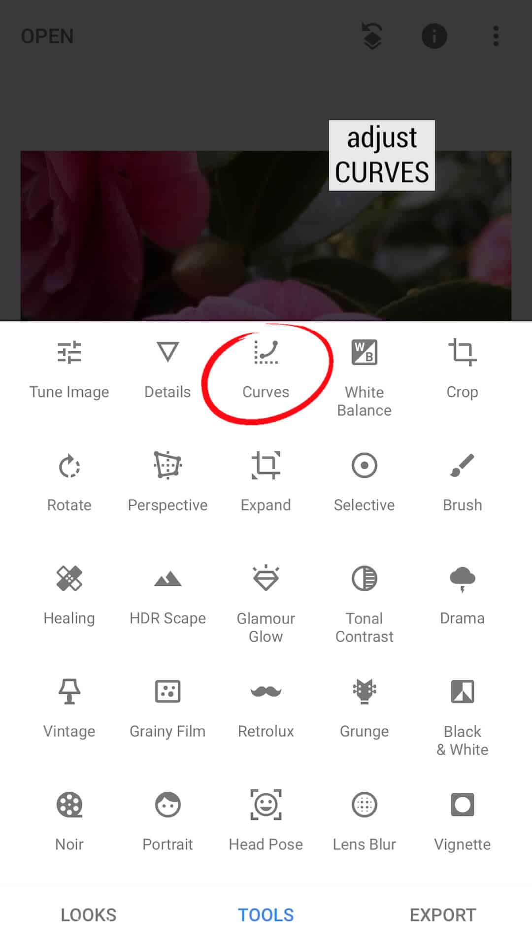Clever Photo Editing Trick using the Tool on Snapseed 5