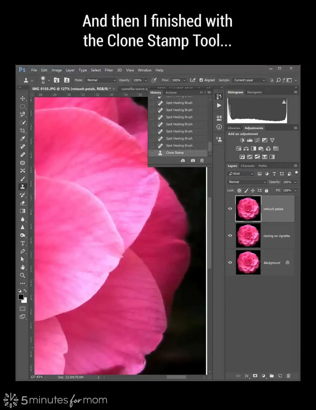 add a new layer for retouching petals in Photoshop