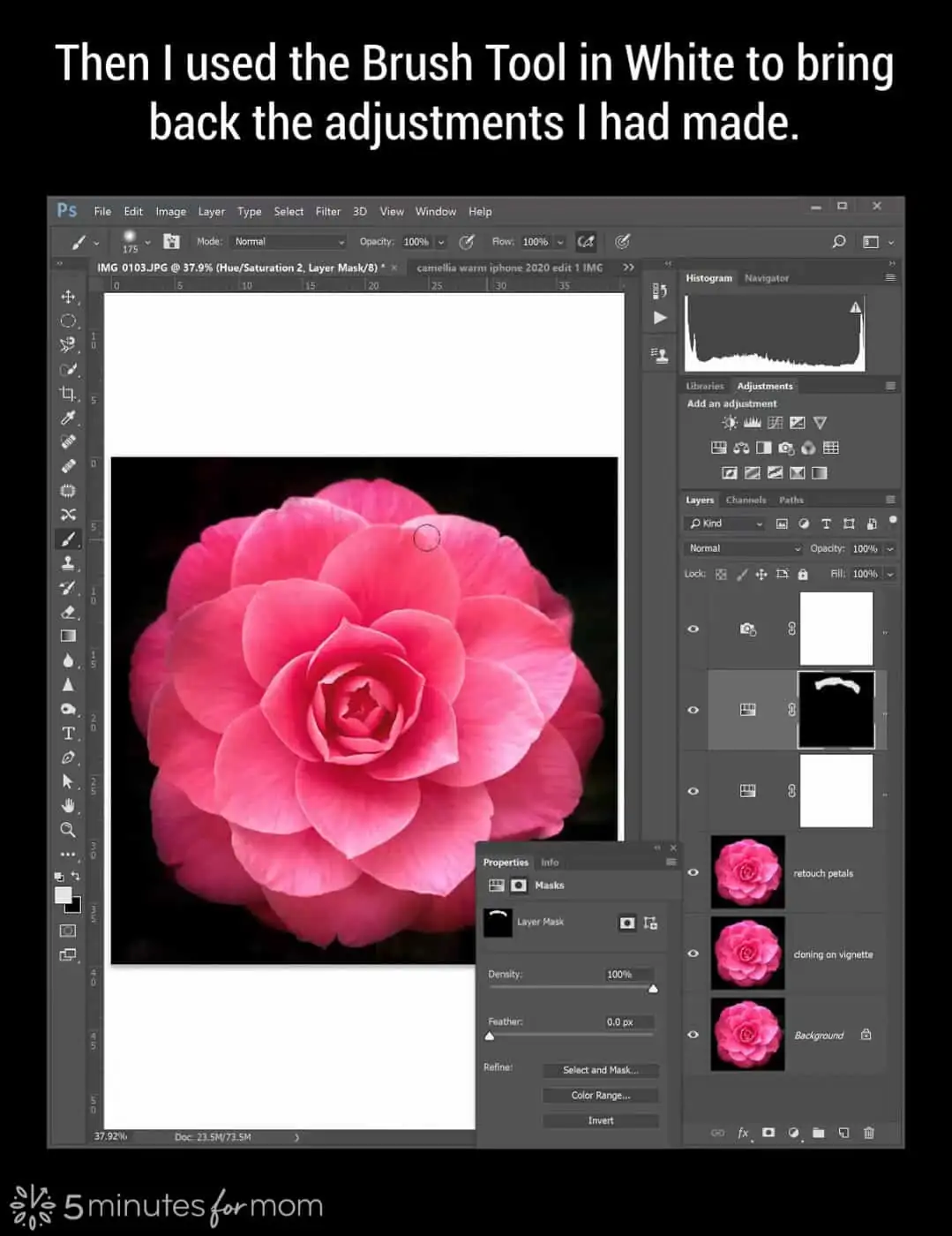 using a layer mask in Photoshop