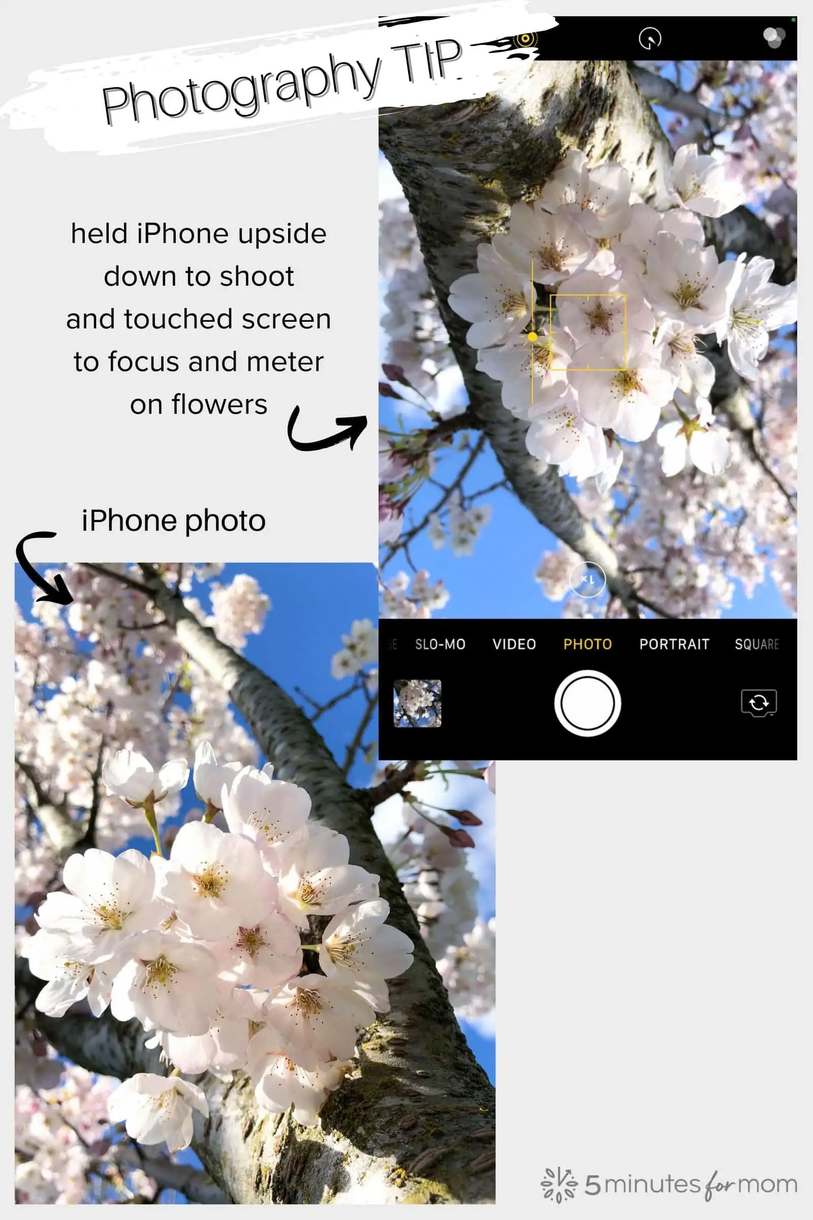 iPhone photography tips